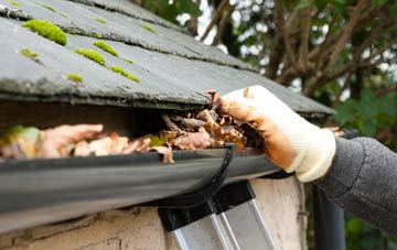 gutter cleaning Rapps, Somerset