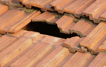 roof repair Rapps, Somerset