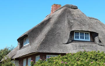 thatch roofing Rapps, Somerset